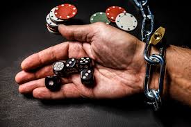 Casino Lucky Bear